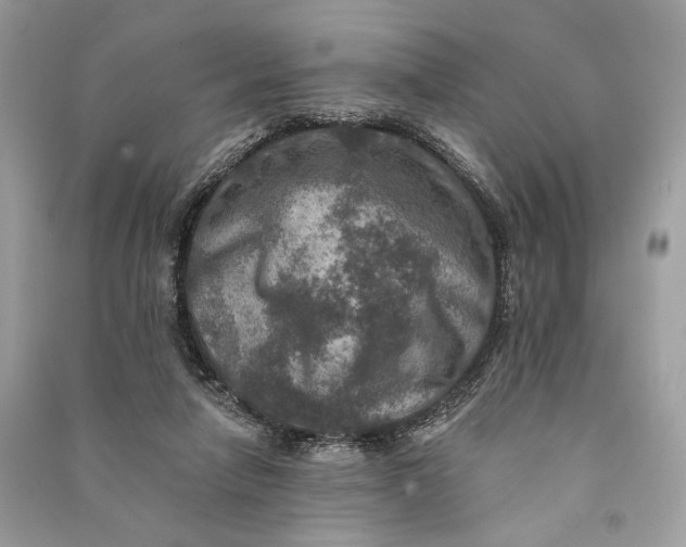 X0000090730258200708101646