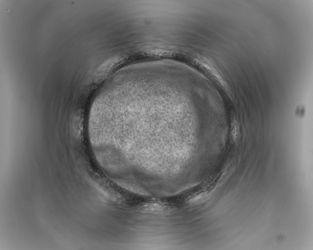 X0000090730259200708101646