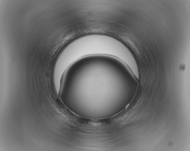 X0000090730260200708101646