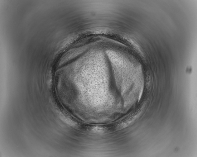 X0000090730261200708101646