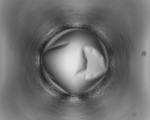 X0000090730262200708101646