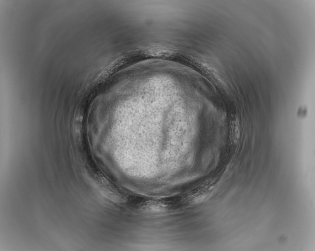 X0000090730263200708101646