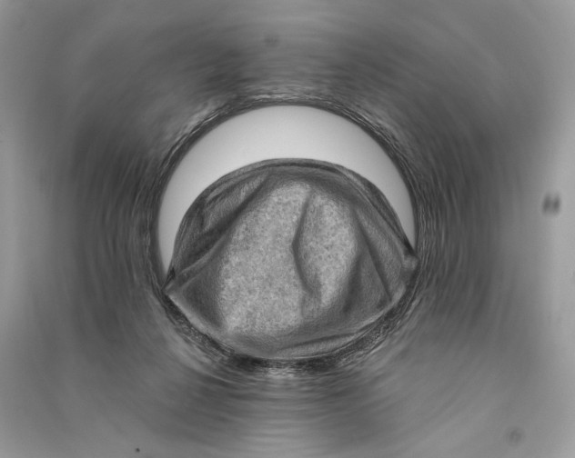 X0000090730264200708101646