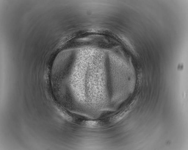 X0000090730265200708101646