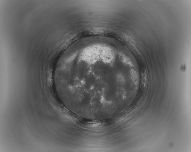 X0000090730267200708101646