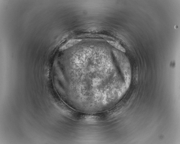 X0000090730268200708101646