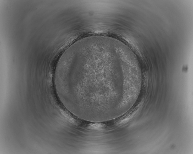 X0000090730269200708101646