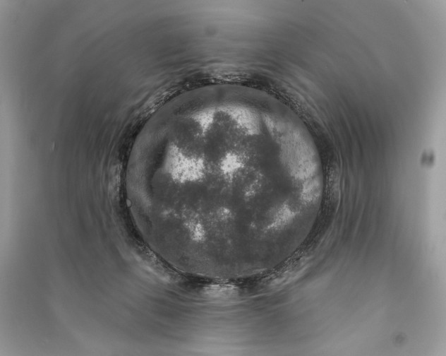 X0000090730271200708101646