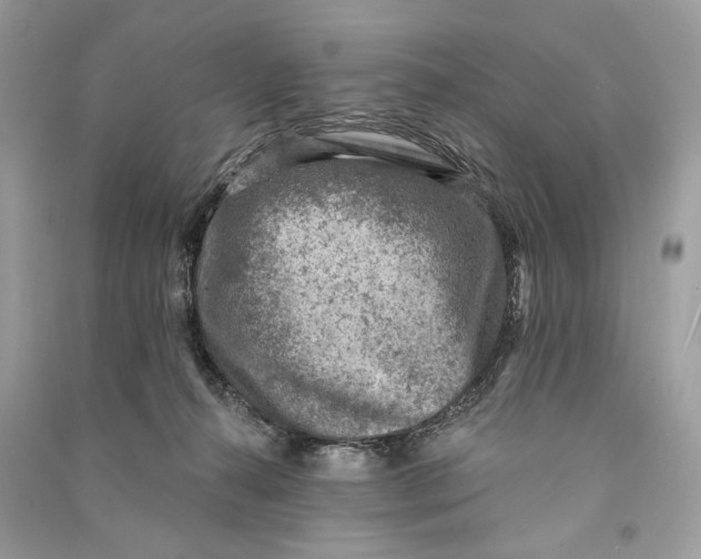 X0000090730272200708101646