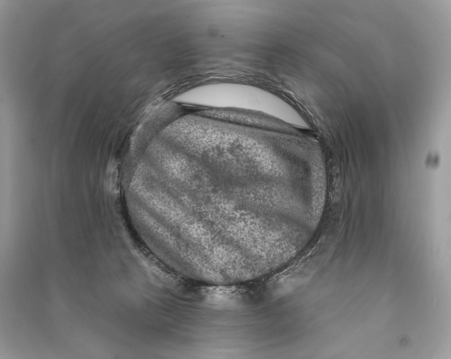 X0000090730273200708101646