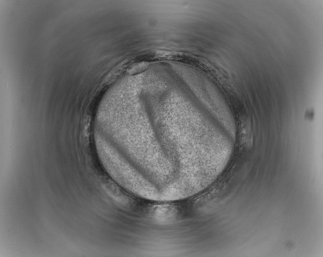 X0000090730275200708101646