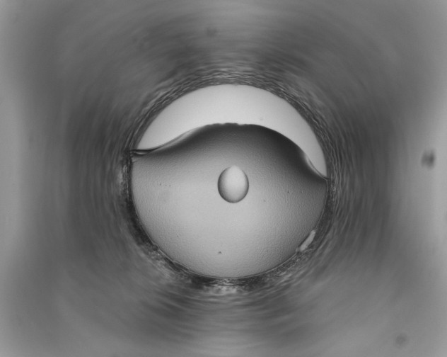 X0000090730276200708101646