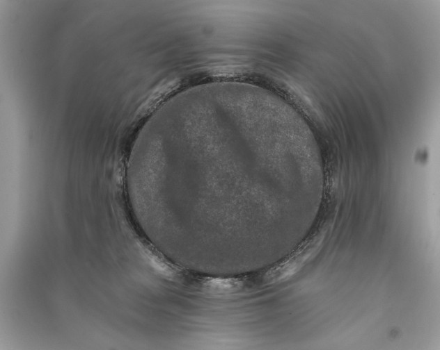 X0000090730277200708101647