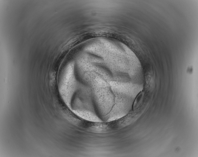 X0000090730278200708101647