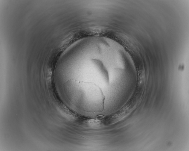 X0000090730279200708101647