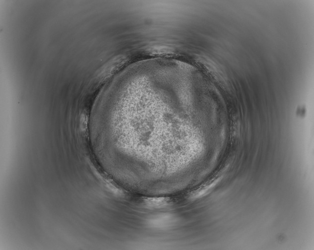 X0000090730281200708101647