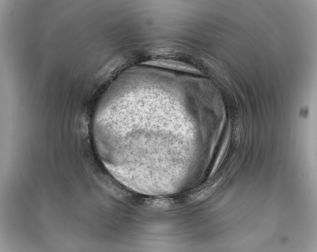 X0000090730282200708101647