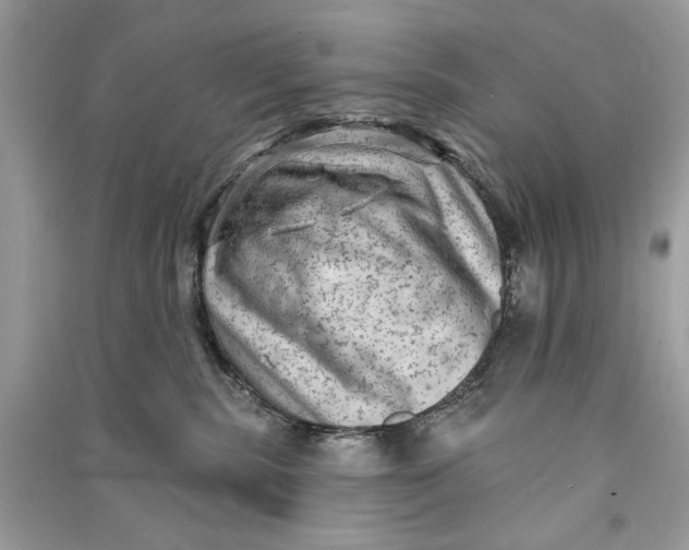 X0000090730283200708101647