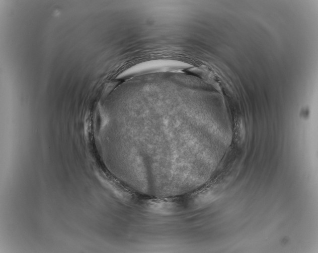 X0000090730284200708101647