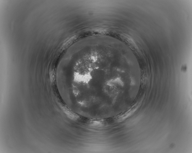 X0000090730285200708101647