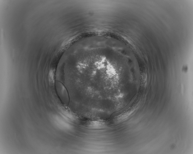 X0000090730286200708101647