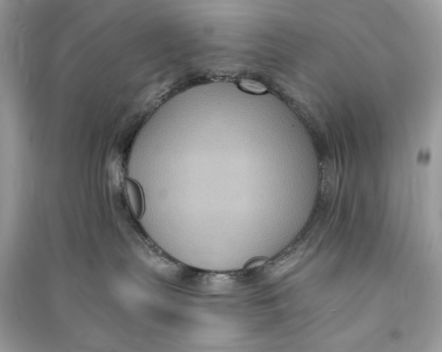 X0000090730287200708101647