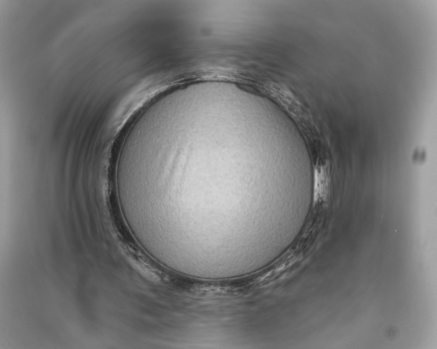 X0000090730291200708101646