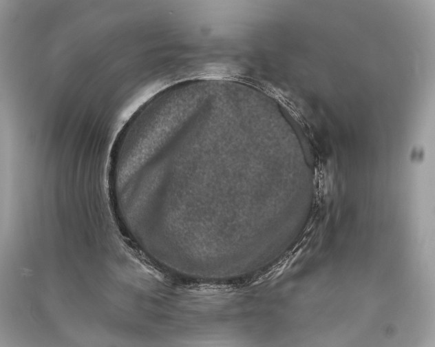 X0000090730292200708101646