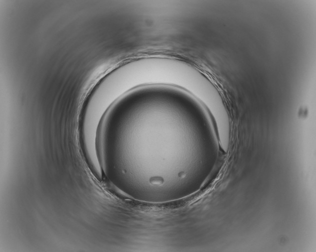 X0000090730293200708101646