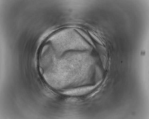 X0000090730294200708101646