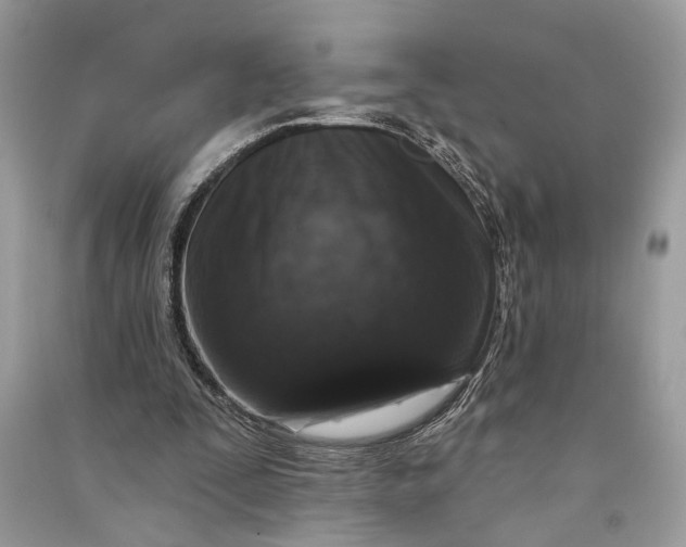 X0000090730295200708101646