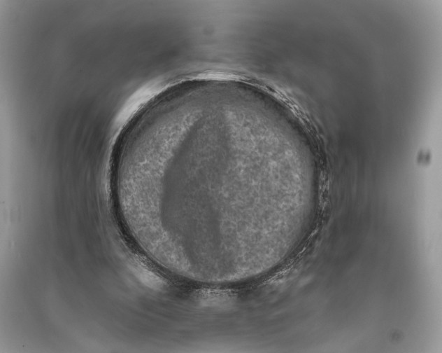 X0000090730296200708101646