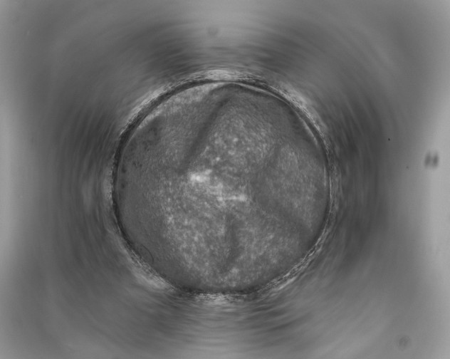 X0000090730297200708101646