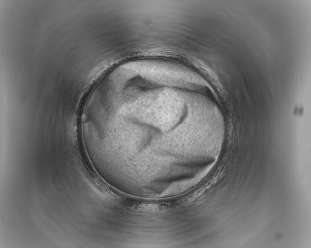 X0000090730298200708101646