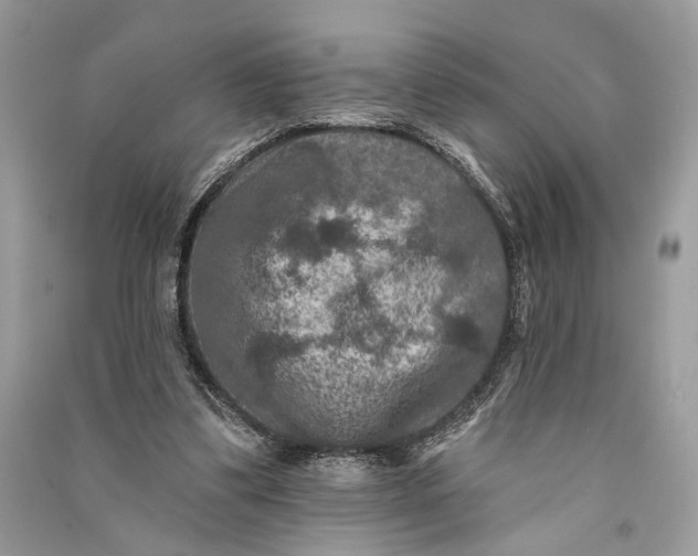 X0000090730299200708101646