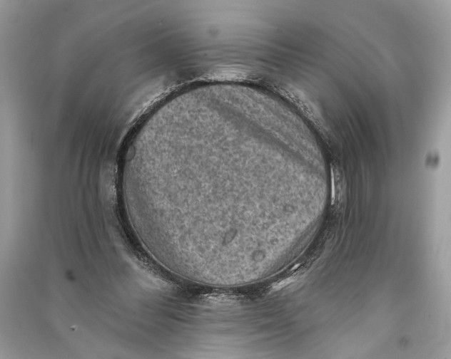 X0000090730300200708101646