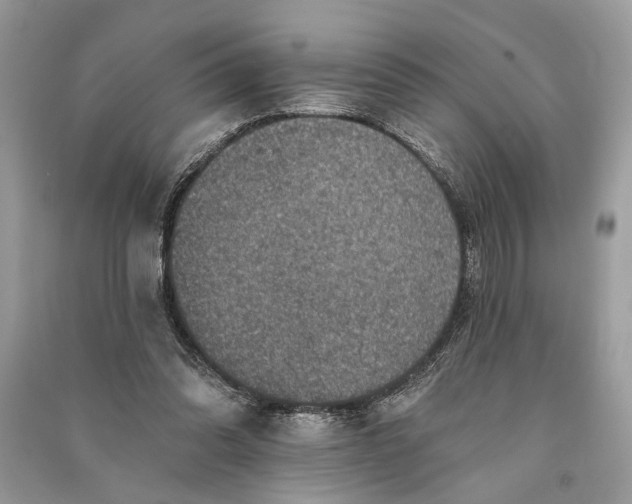 X0000090730302200708101646