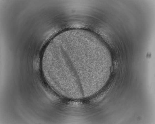 X0000090730304200708101646