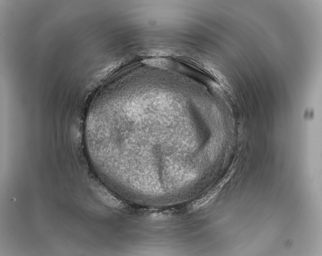 X0000090730305200708101646