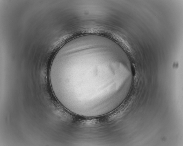 X0000090730306200708101646