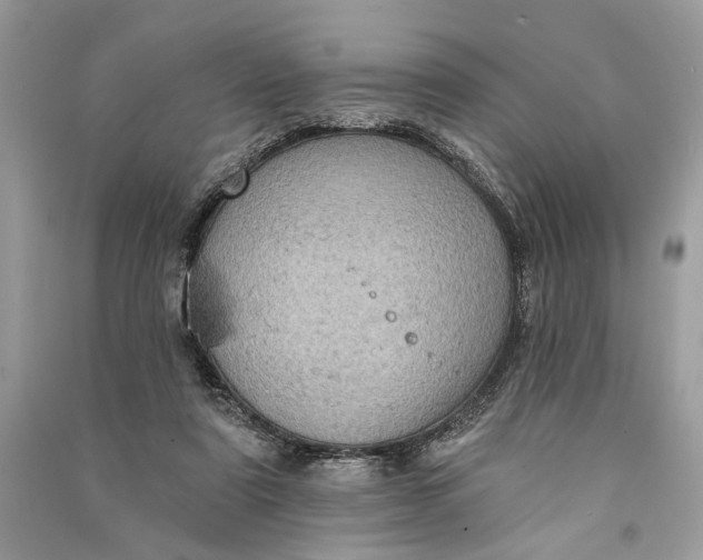 X0000090730307200708101646