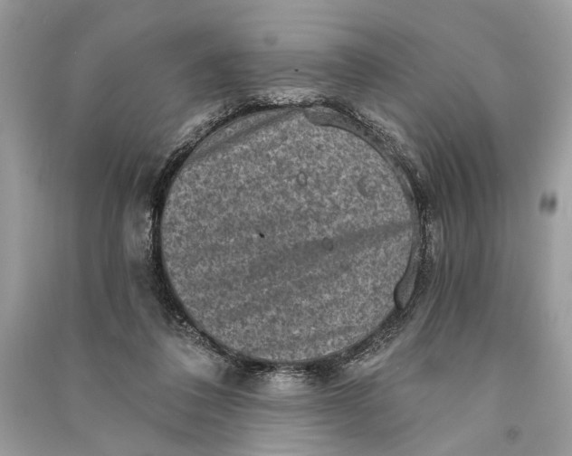 X0000090730308200708101646