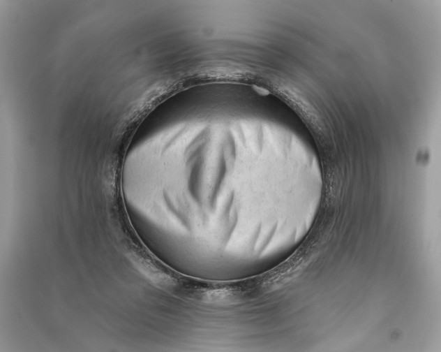 X0000090730309200708101646