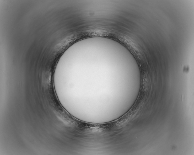 X0000090730310200708101646