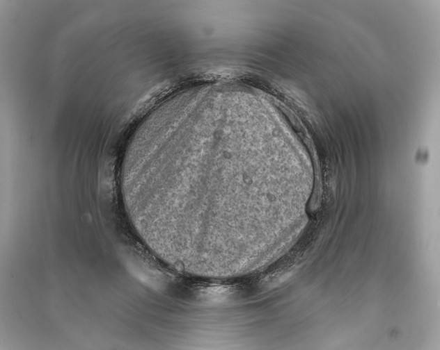 X0000090730312200708101646