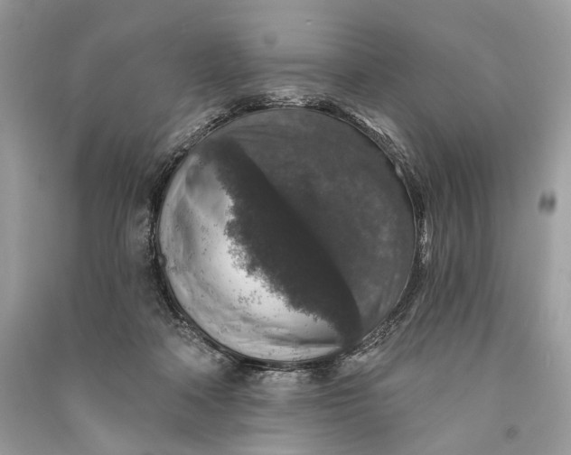 X0000090730314200708101646