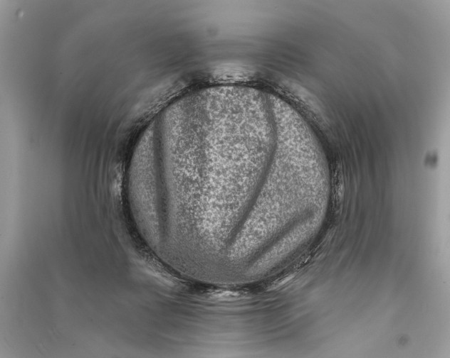 X0000090730315200708101646