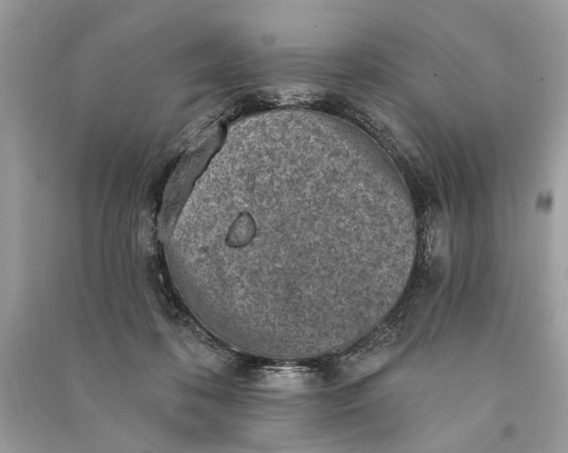 X0000090730316200708101646