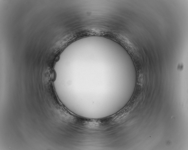 X0000090730318200708101646