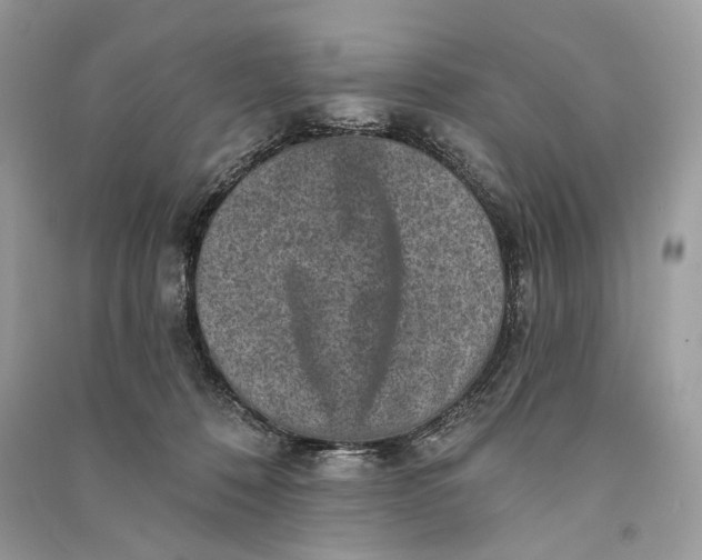 X0000090730320200708101646